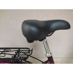 градски алуминиев велосипед SOLHAGA 28 цола SHIMANO NEXUS градски алуминиев велосипед SOLHAGA 28 цола SHIMANO NEXUS